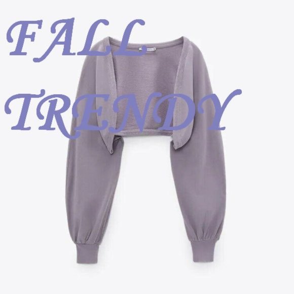 Zara Sweaters - ZARA Lilac Cropped Sweater / Jacket / Bolero L